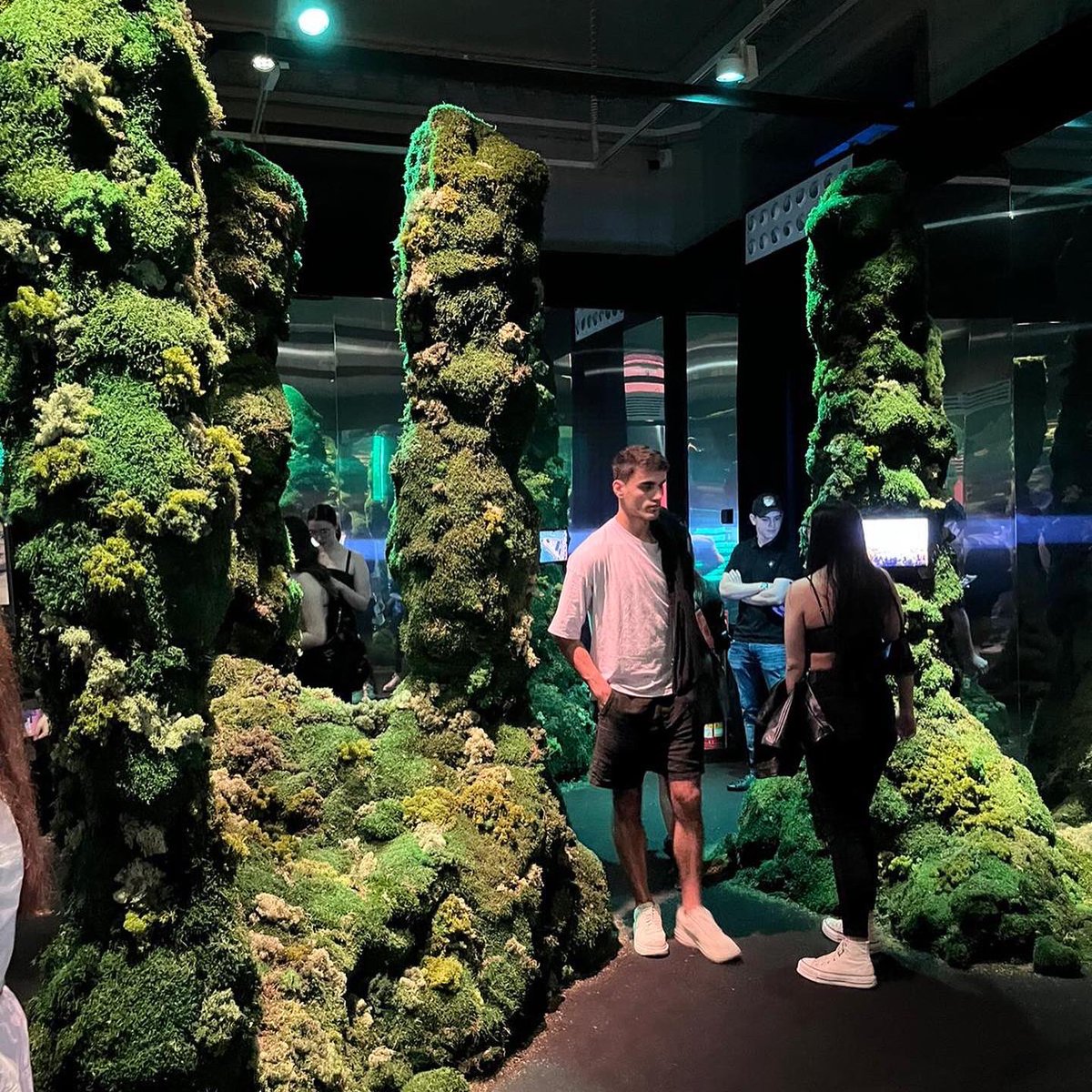 1r de MKT visita l'exposició SOMIA LA TEVA CIUTAT al Palau Robert, una exposició interactiva que ens parla de les ciutats del futur i com els mitjans de comunicació i les xarxes socials afecten la nostra forma d'entendre el món on vivim🏮

#somcami #ciclesformatius #marketing