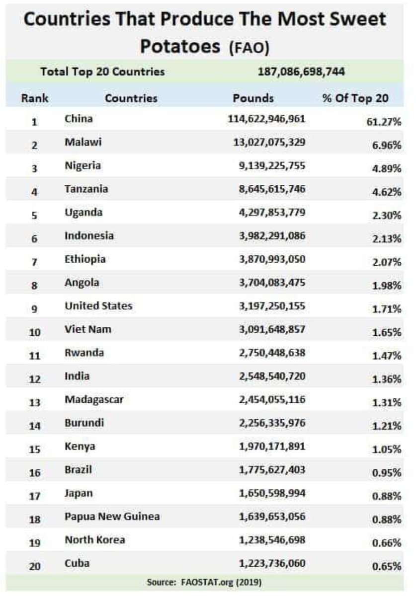 HappyKayuni's tweet photo. May someone in Malawi educate me please, why the sudden negative perception of 'mbatata' in our social media? What is it that am missing? As a dedicated consumer of 'mbatata', am getting worried🤔 Apparently we are one of the world's top producers👇 https://t.co/rpVq2F7hOE
