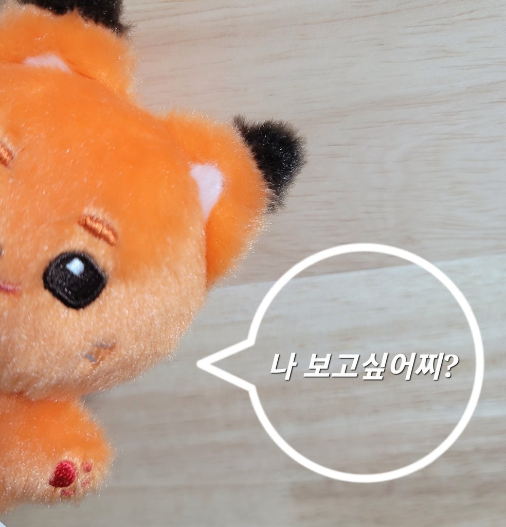 위너멀즈와 이쁘게 찍은 사진을
 #위너멀즈_널_좋아해 해시와 함께 올려주세요
 추첨을 통해 소정의 상품을 드리겠습니다

((추후엔 망한사진대회도 열 예정이니 많이들 찍어주세요🙇‍♀️))