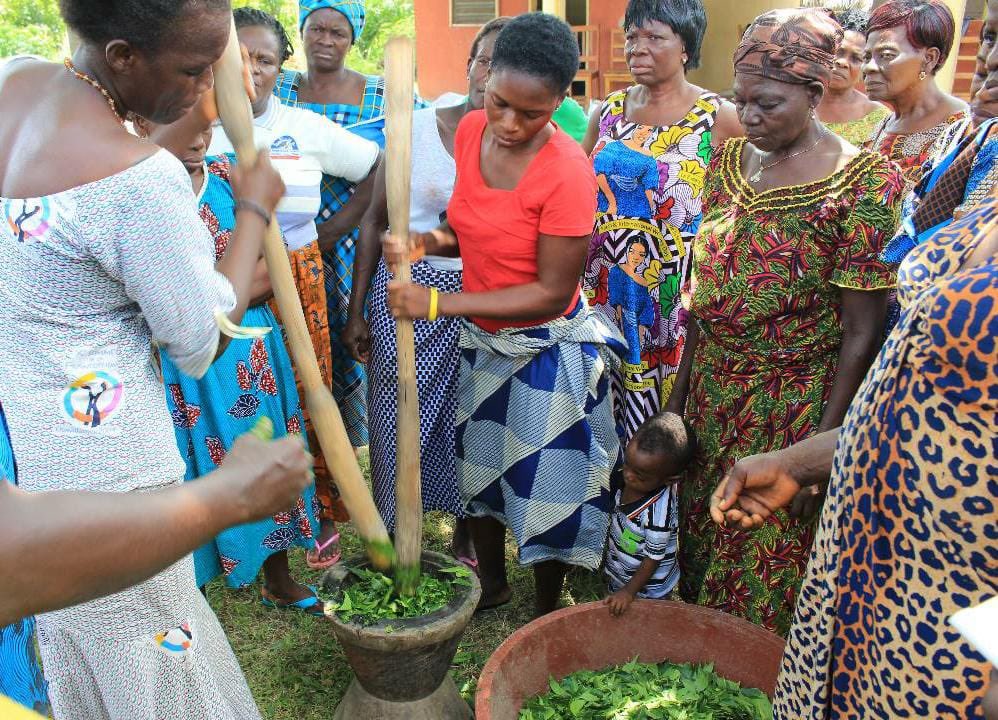 Let us join forces to support womenled initiatives that promote forest protection and development in Nigeria We can make a difference for our world and future generations if we work togeda
#WomenForForests  #ConservationChampions
 #GLA2  
#Forestandgenderintheagenda
@WEP_Nigeria