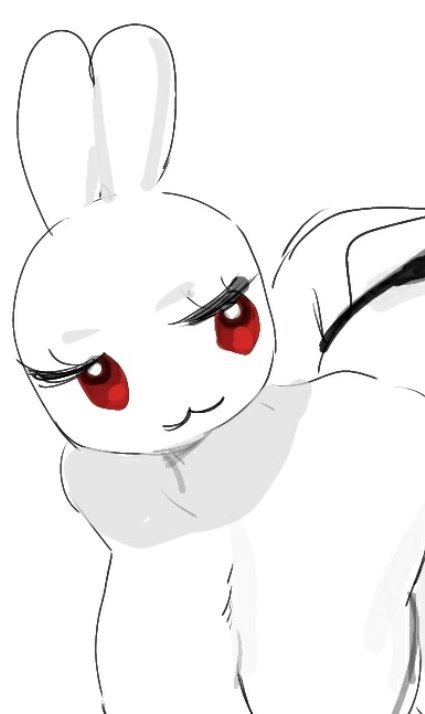 충격사실
모두같은캐이다