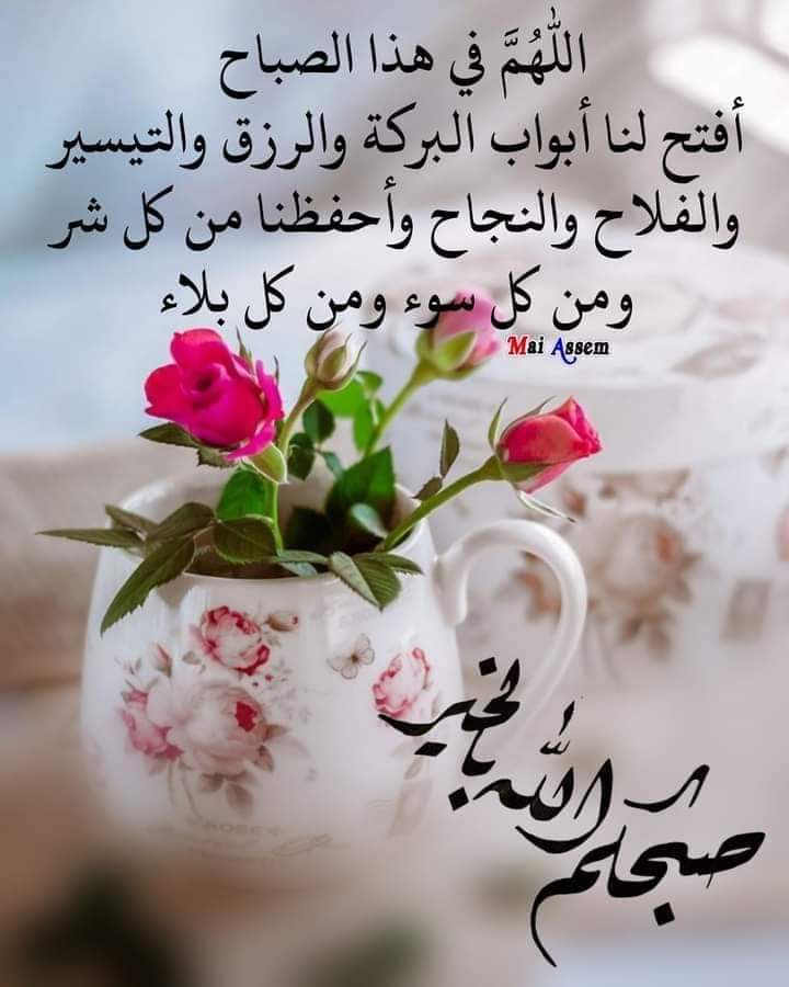 طاهر محمد (@amrj833) on Twitter photo 