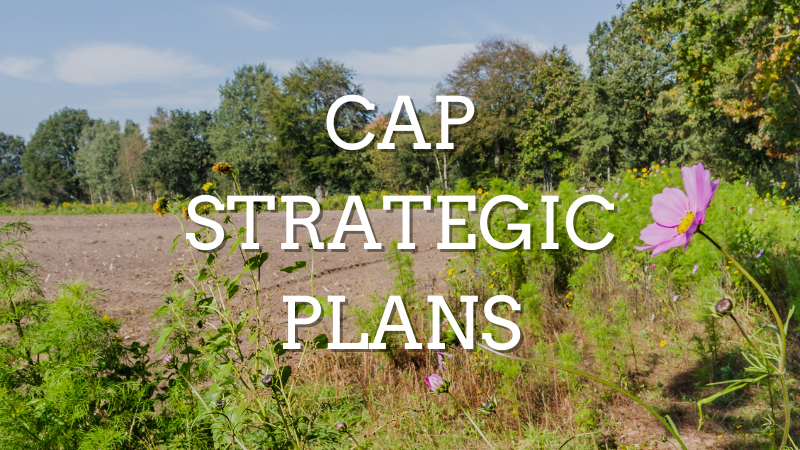 ARC 2020 tweet media