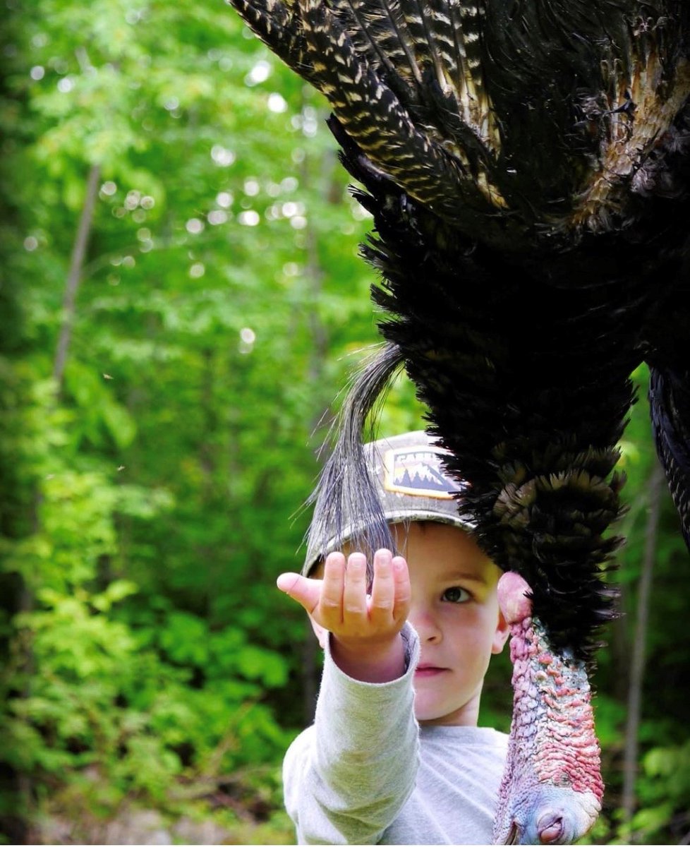 That moment you knew he was gonna be a turkey hunter. - @dustindattilio @deadendgamecalls

#ITSINOURBLOOD #youth #kids #kidswhohunt #hunting #wildturkey #turkeyhunting #turkeyhunter #turkeyseason