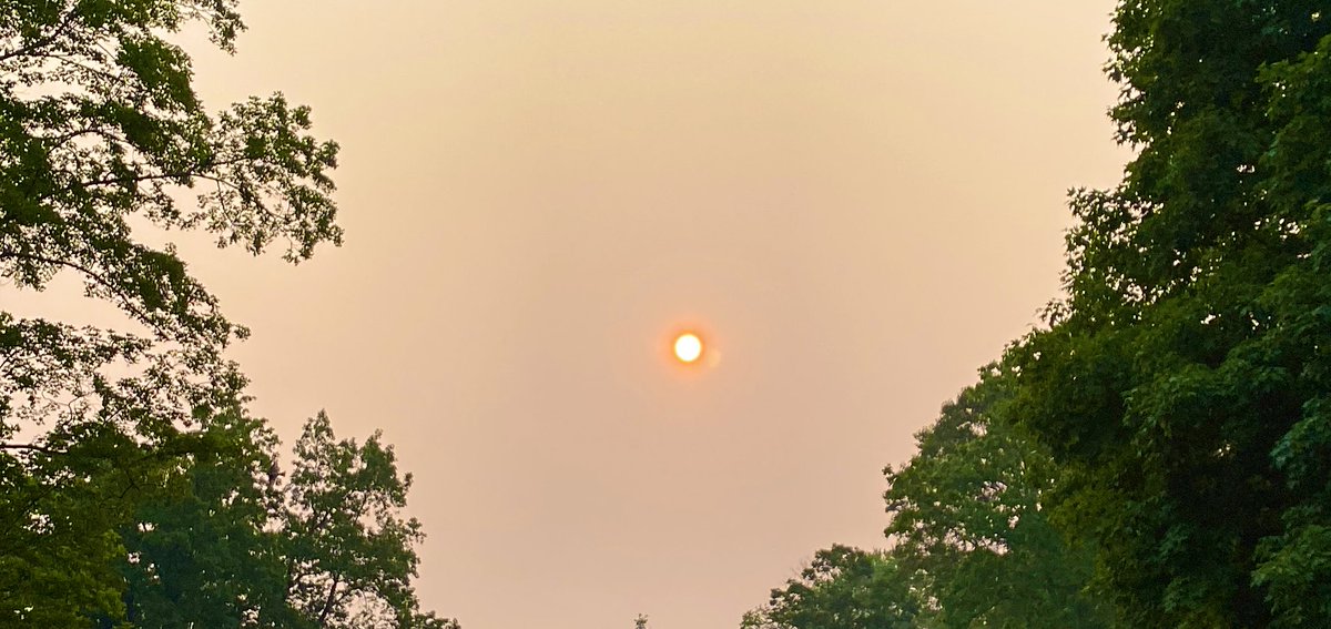 nutsaboutknittn's tweet photo. This morning, I can see the haze and smell the fires in the air from Canada. Please be safe everyone. I know it must be enormous to have an effect this far away. 🙏 https://t.co/USwyeIwR80