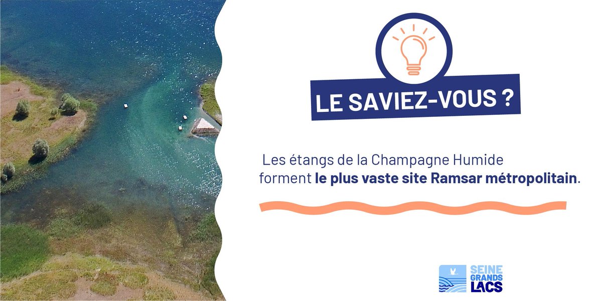 SeineGrandsLacs's tweet photo. Avec une superficie de 255 800 hectares, les étangs de la Champagne humide s’étendent sur les départements de l’Aube, de la Marne et de la Haute-Marne ! 💧
#Ramsar #ZoneHumide https://t.co/hSzx4IPW8x