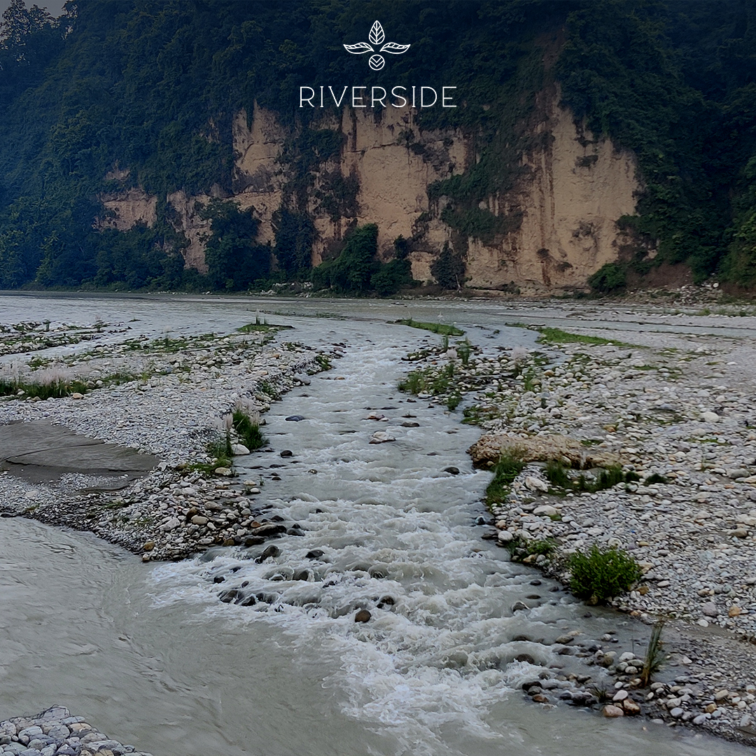staywithaahma's tweet photo. At #Riversidebyaahma, we have close to 1 km private #kosiriver stretch where we provide you the amazing river view where you will get to enjoy an amazing experience like no other
#aahma #aahmahospitality #jimcorbett #staywithaahma #jimcorbettnationalpark #uttarakhand https://t.co/EtpTeaZdxo
