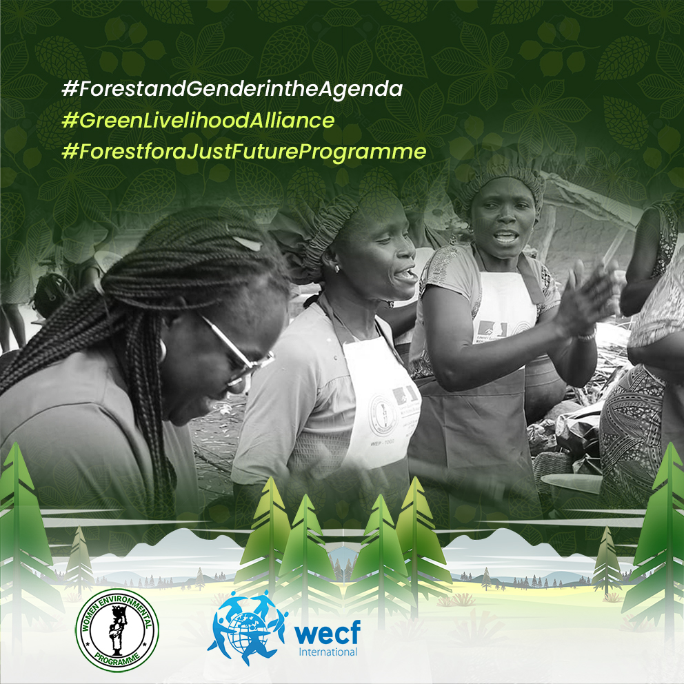 Climate change is a threat to sustainable development in Nigeria. Put it on your agenda.
#Forestandgenderintheagenda  
#ClimateJustice  
#GenderJustice  
#WomenForForests