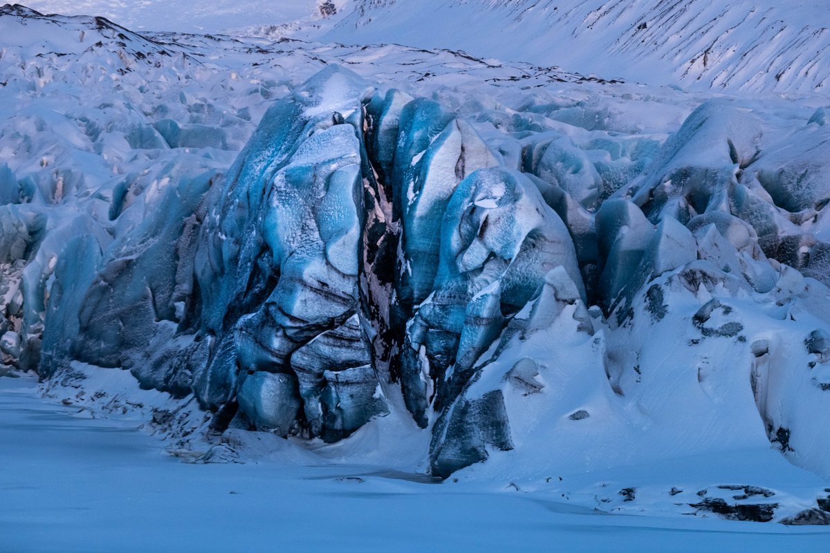 Jacqueline Scripps tweet media