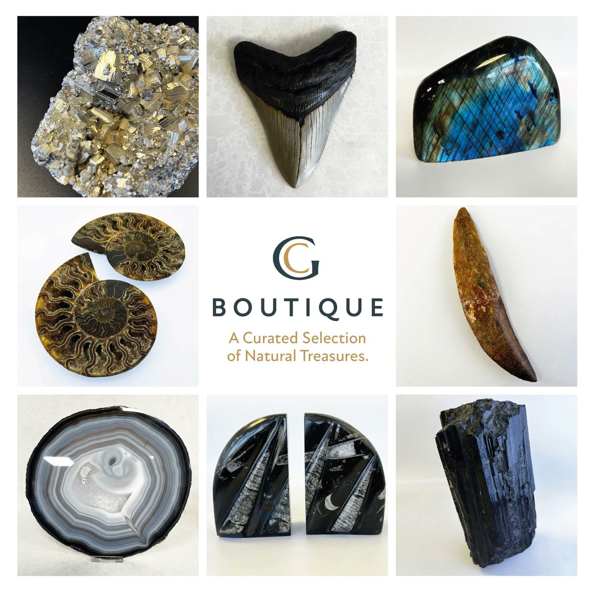 Gerald Culliford Ltd tweet media