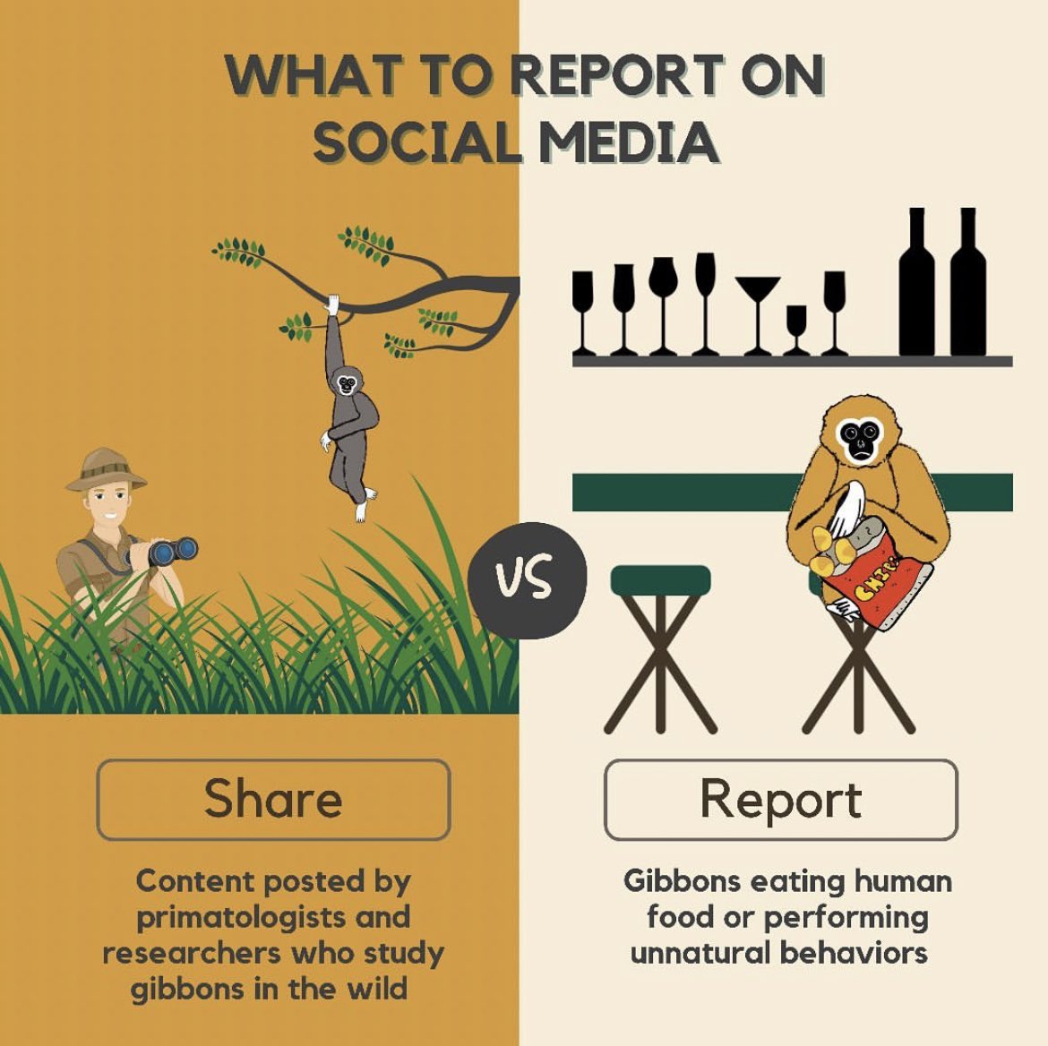 IUCN_Gibbon's tweet photo. REPOST from @gibbonguardians 

With summer holidays and summer travel plans coming up, we wanted to remind you of best practices when engaging with wildlife respectfully on and off social media. 
(1/4) 

#keepwildanimalswild https://t.co/omMLuEQVIa