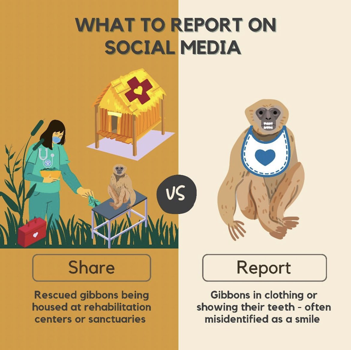 IUCN_Gibbon's tweet photo. REPOST from @gibbonguardians 

With summer holidays and summer travel plans coming up, we wanted to remind you of best practices when engaging with wildlife respectfully on and off social media. 
(1/4) 

#keepwildanimalswild https://t.co/omMLuEQVIa