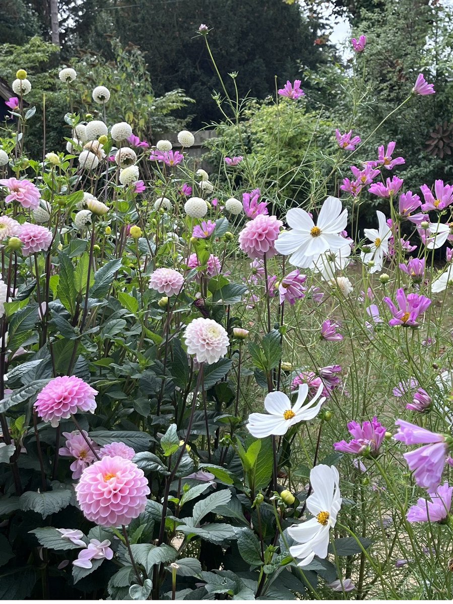 Garden Brocante tweet media