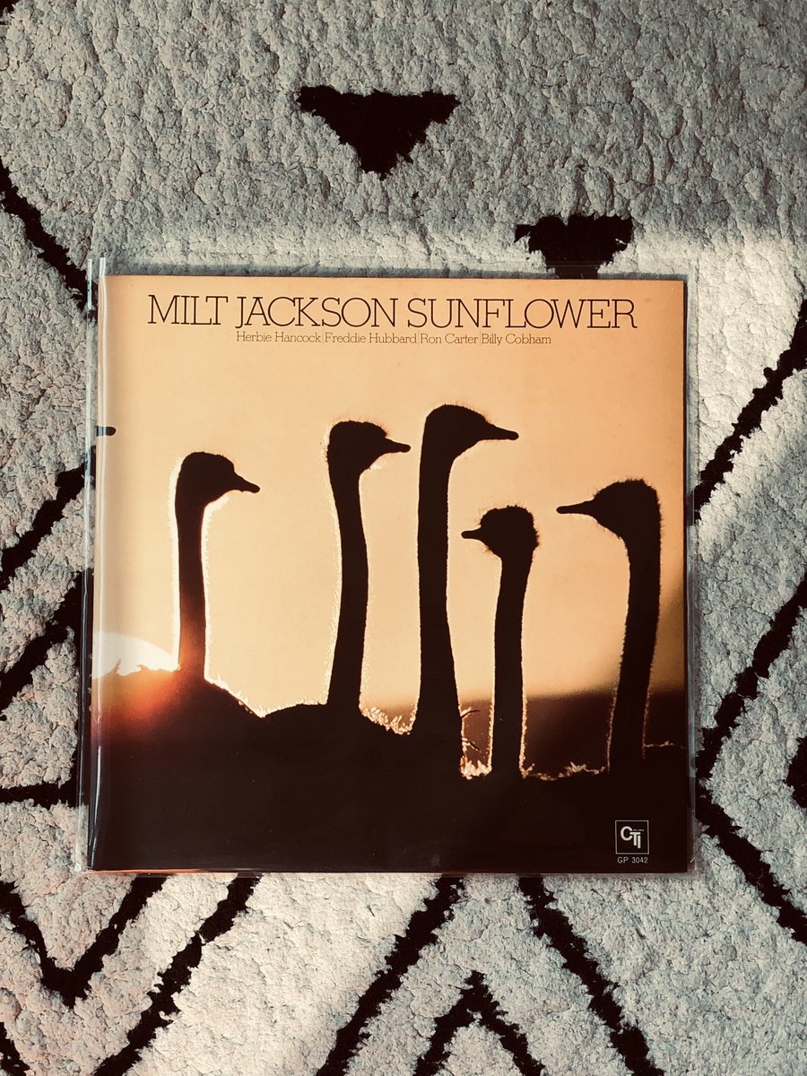 veldra9's tweet photo. This is Milt Jackson; jazz vibraphonist. Listening to this album will make you grounded. Rare album. 1976 Japanese Pressing. From the good people @absoluterecords.sg https://t.co/4Yxn8pr6YW