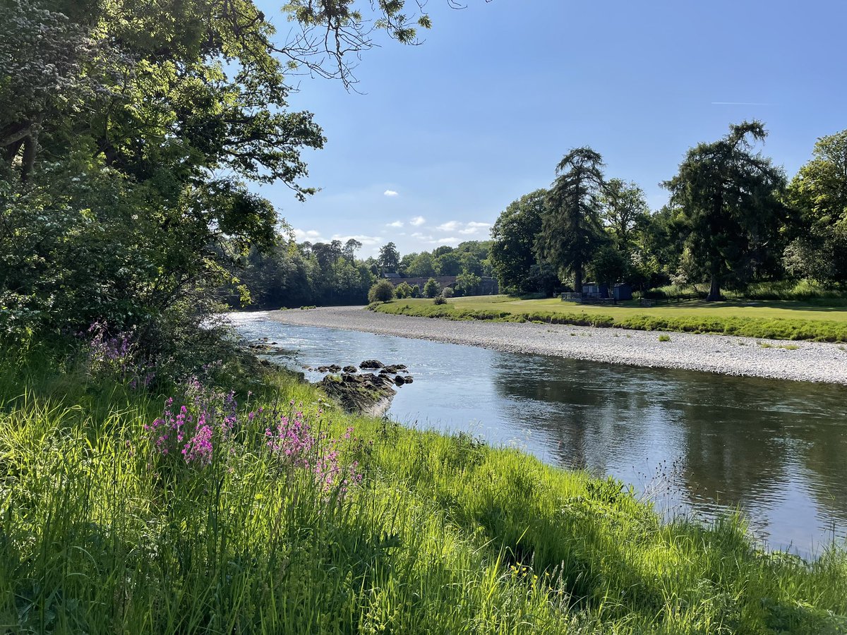 On the #riverTweed #river