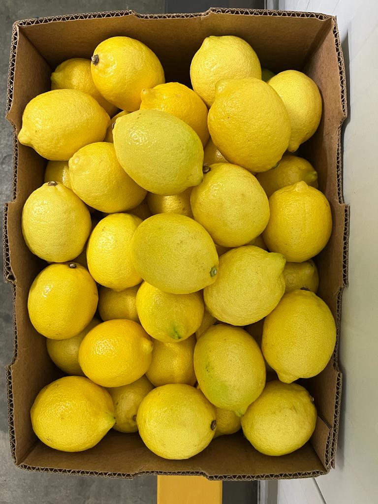 Our very popular La Limonera lemons are now in stock! Contact us to order yours

15kg x 88/100/113/125/138 🍋

📞01322 425555 
📩marketsales.uk@westfaliafruit.com