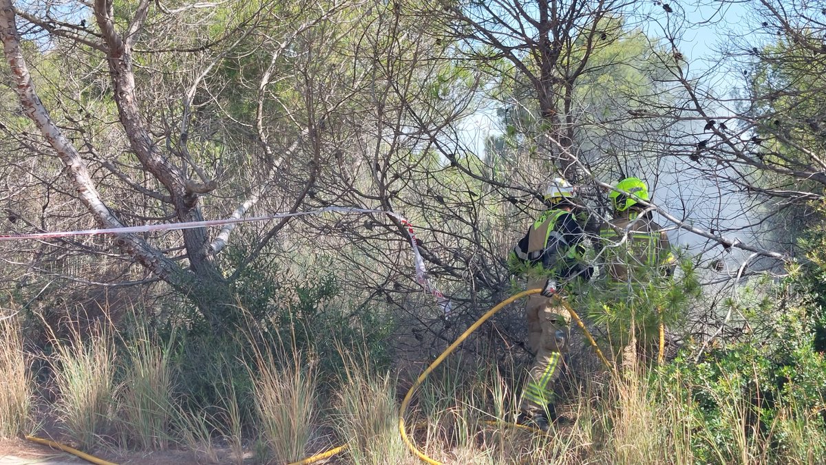 bomberosvlc's tweet image. #PrevencióVLC
#formaciócontínua
Simulacres d&apos;intervenció d&apos;Incendi 🔥 Forestal al Parc Natural de la Devesa del Saler per a les cinc Subunitats Operatives 🚒
Coneixement de l&apos;entorn i recursos 🌲
Constitució del PMA i Coordinació 📡
@AjuntamentVLC