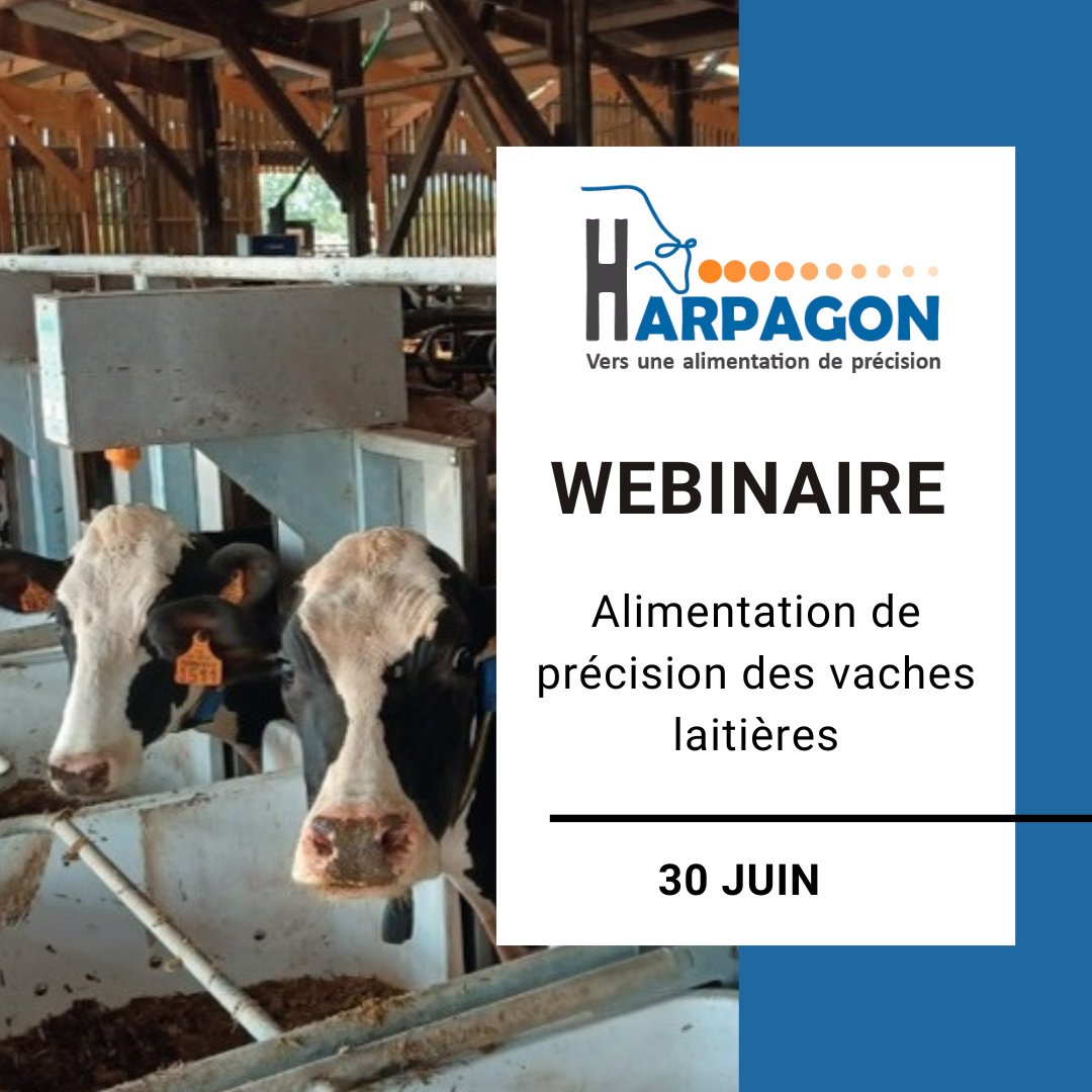 InstitutElevage's tweet photo. Agenda 📅 | Webinaire 💻
↪ #Alimentation de précision des #vaches laitières 🐄 -> Projet #HARPAGON
✅ Quelles réactions à une variation des apports de concentré ?
Découvrez les résultats des essais menés à la ferme expérimentale des #Trinottières
📅 30/6
https://t.co/O7NcFFszmr https://t.co/iMFO4Kz3PT