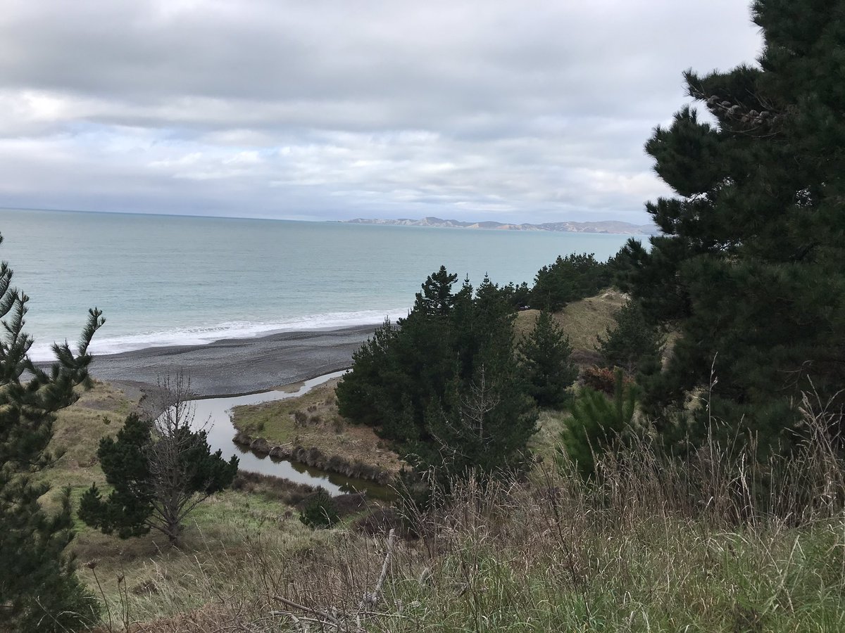 Some amazing sites for sampling tree microbiomes today.  

If you haven’t already, we need samples from the Sthn Hemisphere.  Please contribute .