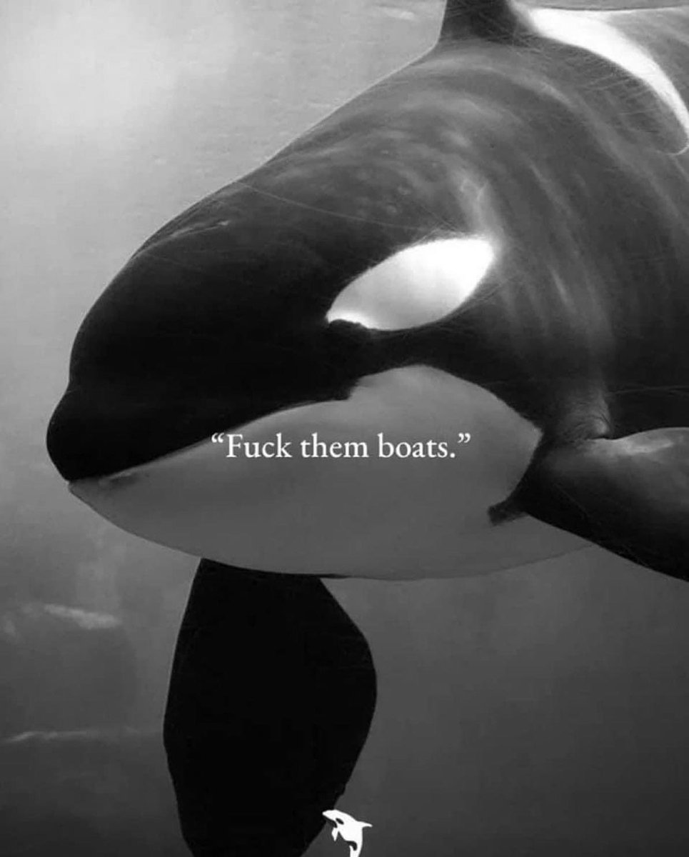 👽 Paige 👽 tweet media