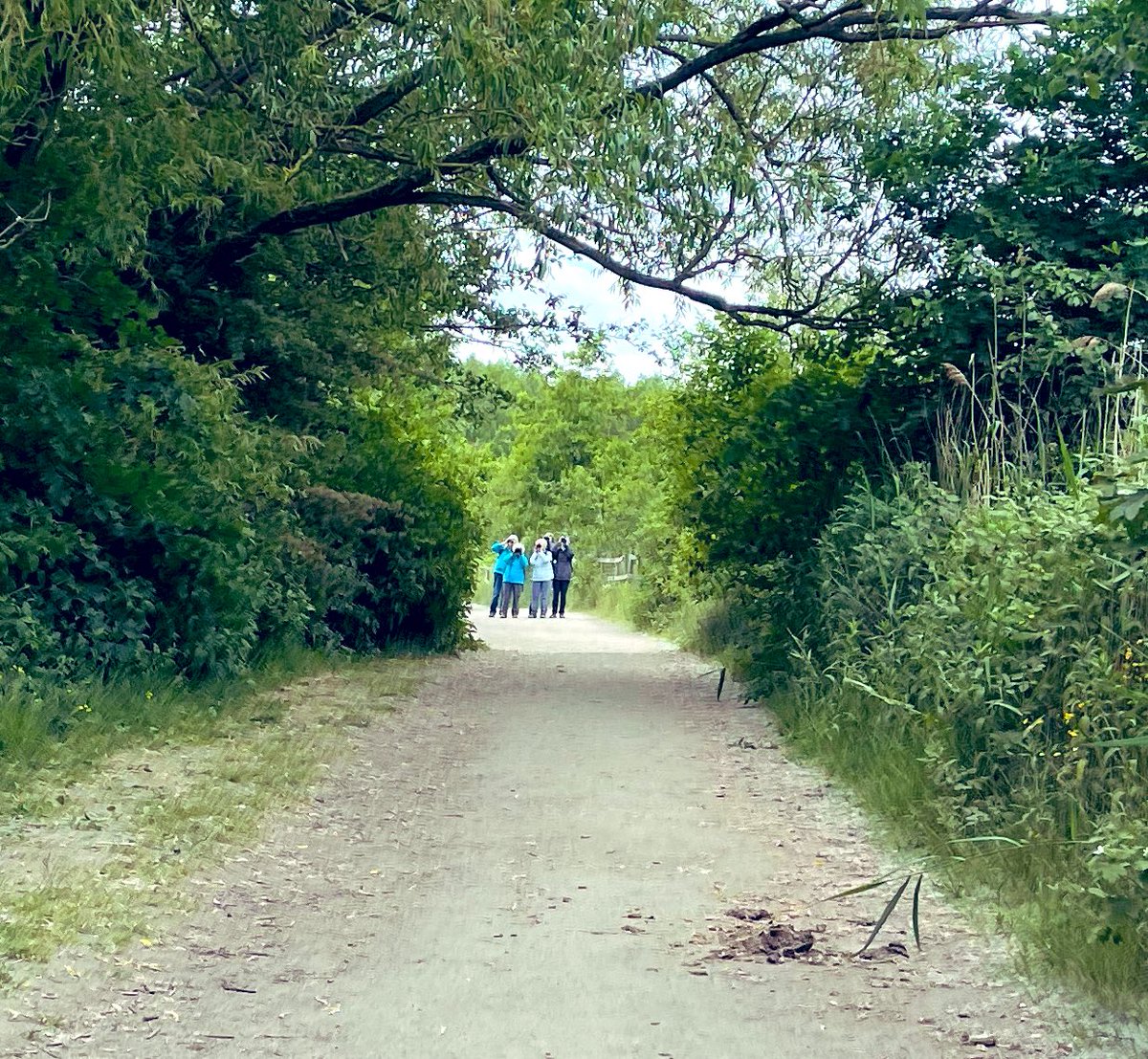 Paul Swaine tweet media