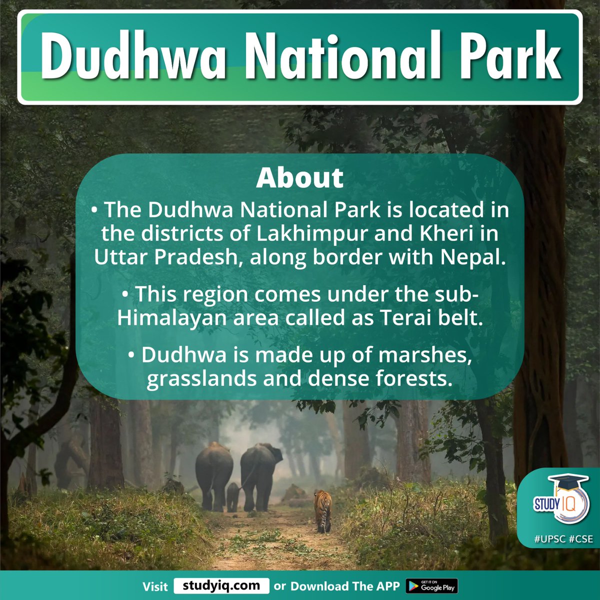 upsciq's tweet photo. Dudhwa National Park
#dudhwanationalpark #bufferzone #dudhwatigerreserve #lakhimpur #kheri #uttarpradesh #up #nepal #teraibelt #grasslands #denseforests #suheli #moohanastreamflow #shardariver #kishanpurwildlifesanctuary #ghagrariver #katarniaghatwildlifesanctuary #elephant https://t.co/3apZ5bWHhW