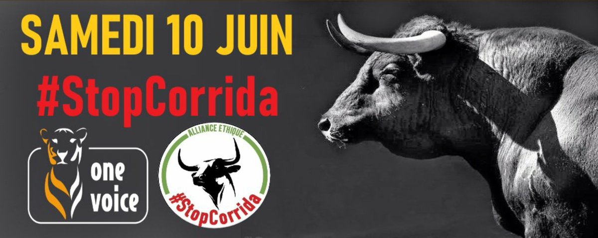 Nous voulons que ça change, que ça bouge... Alors bougeons aussi!
🐃Samedi 10 juin👇
-Béziers  -Périgueux  
-Nîmes  -Perpignan
-Carcassonne  -Limoges
-Strasbourg  -Fréjus
-Dijon  -Aix-en-Provence
-Clermont-Ferrand
-Toulon  -Pérols
-Montpellier -Marseille
-Orléans - Nevers...👇