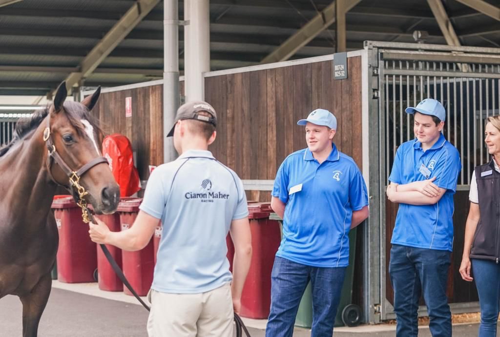 Silverdale Farm on Twitter "Opportunity awaits, don’t hesitate to