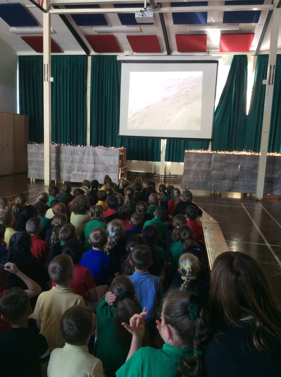 wideyseal's tweet photo. What an amazing first day of our Ocean week, we enjoyed spending time with friends in @wideyseahorse and @wideyshark https://t.co/JugMv6tshI