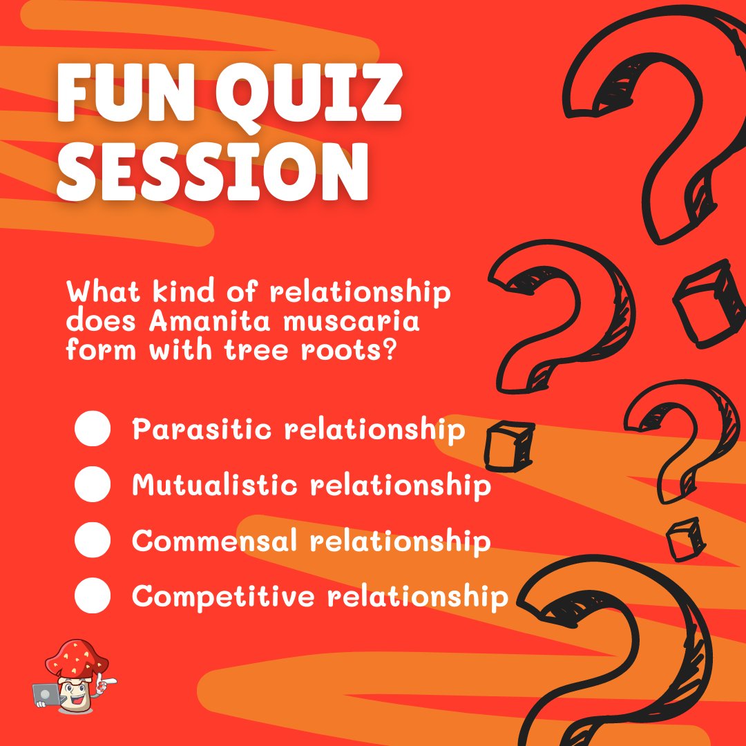 Quiz: What kind of relationship does Amanita Muscaria form with tree roots?  
Options:   
a) Parasitic relationship
b) Mutualistic relationship 
c) Commensal relationship
d) Competitive relationship
#AmanitaMuscaria #PsychedelicMushrooms #MagicMushrooms #CultivationGuide