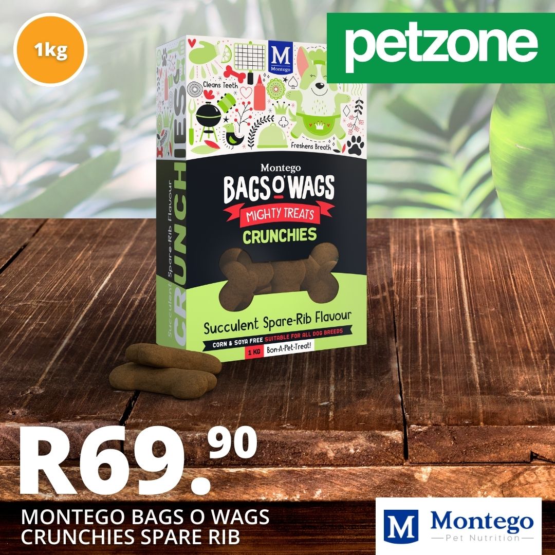 petzonestores's tweet photo. Is your dog a rib lover? ๐ถ ๐ฅฉ
Your pup will drool over the delicious taste and satisfying crunch of these treats. Grab a pack now for only R69.90 at #Petzone and watch your furry friend wag their tail in excitement!
Find A Petzone Store โก๏ธ https://t.co/HsHzDt7gmC https://t.co/zXt6agsk0w