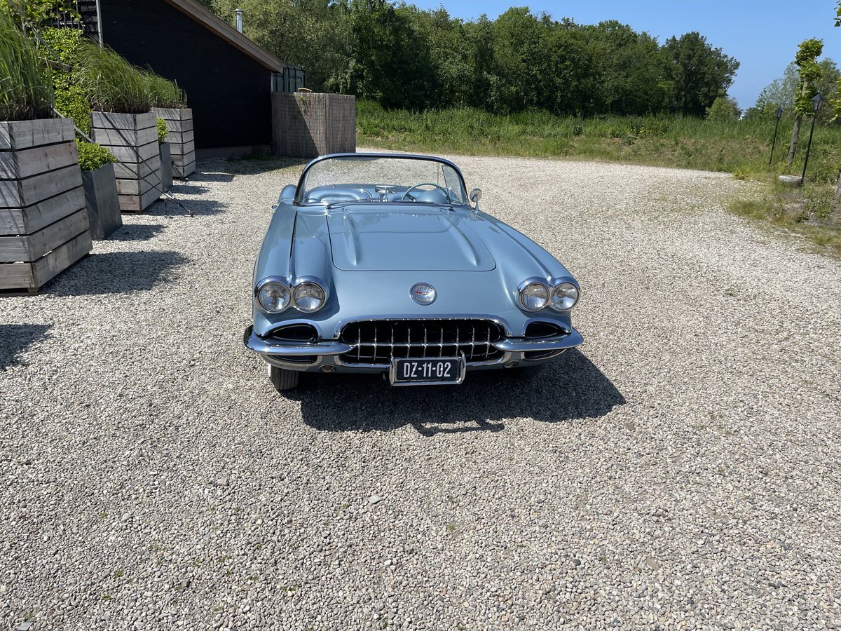 Back in Netherlands seeing clients again and saw this. Came close to driving it away!!