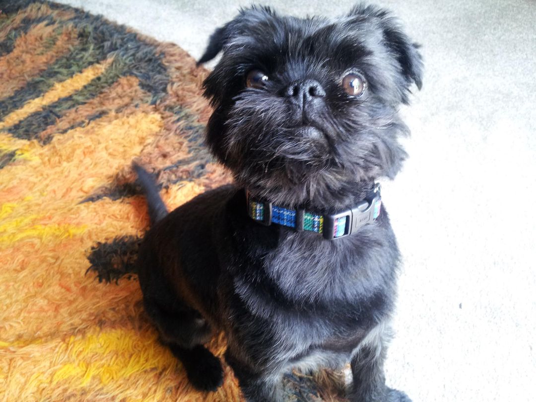 valskelton tweet media