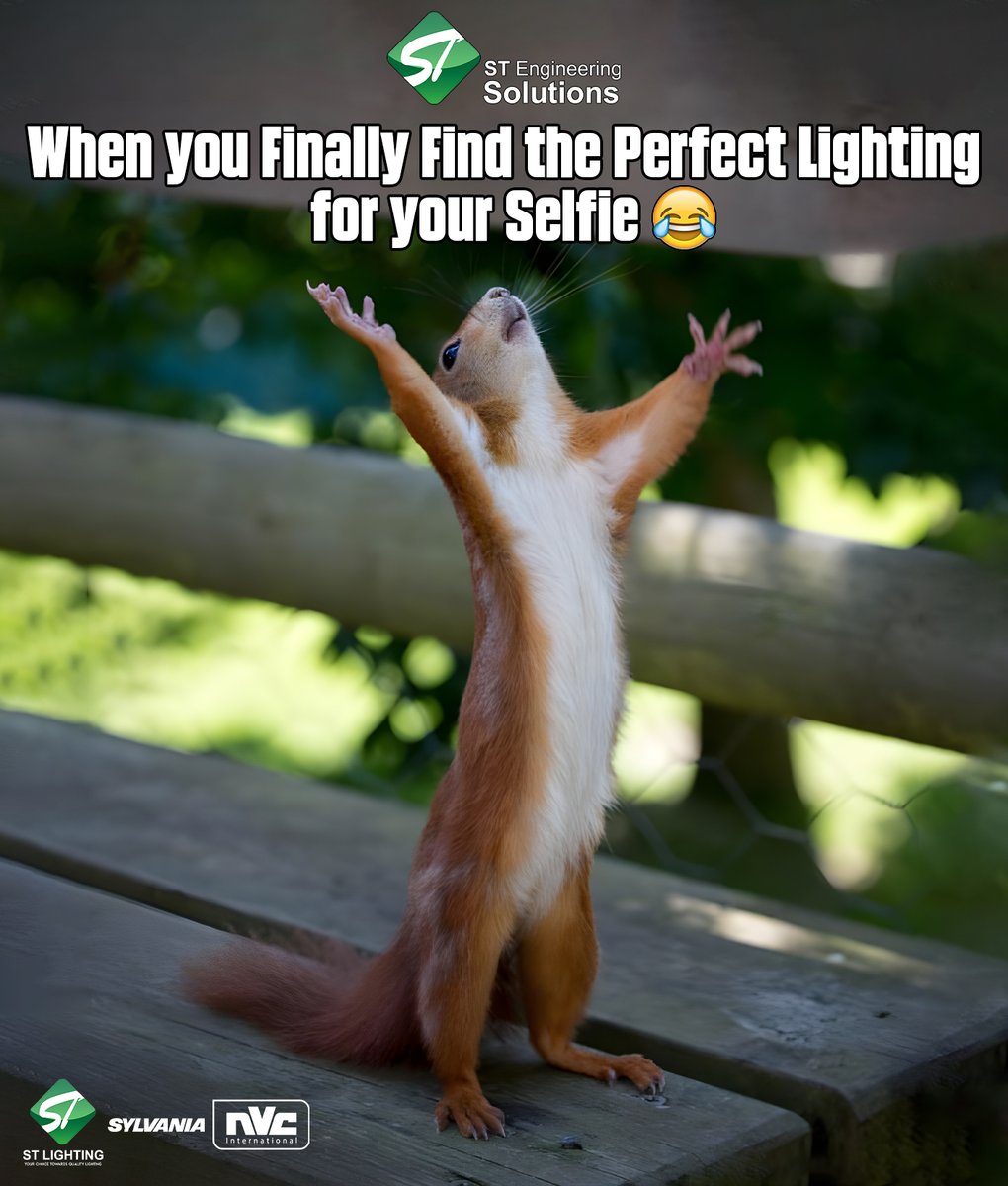 'When you Finally Find the Perfect Lighting for your Selfie'😉

#STEngineeringSolutions #STLighting #STES #NvcInternational #ModernLighting #LightingTechnology #LightingSolutions #LuminousAesthetics #Sylvania #Meme #Funny