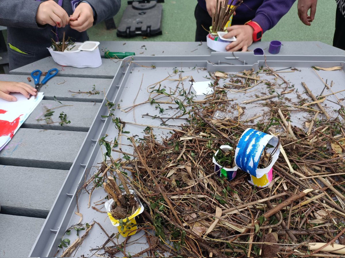 GrosvenorParkA's tweet photo. Capella had lots of fun making bug hotels 🐛🐜🦋🐞
@NWATrust 
#bugslife
#naturelovers https://t.co/V5CdJ47G5O