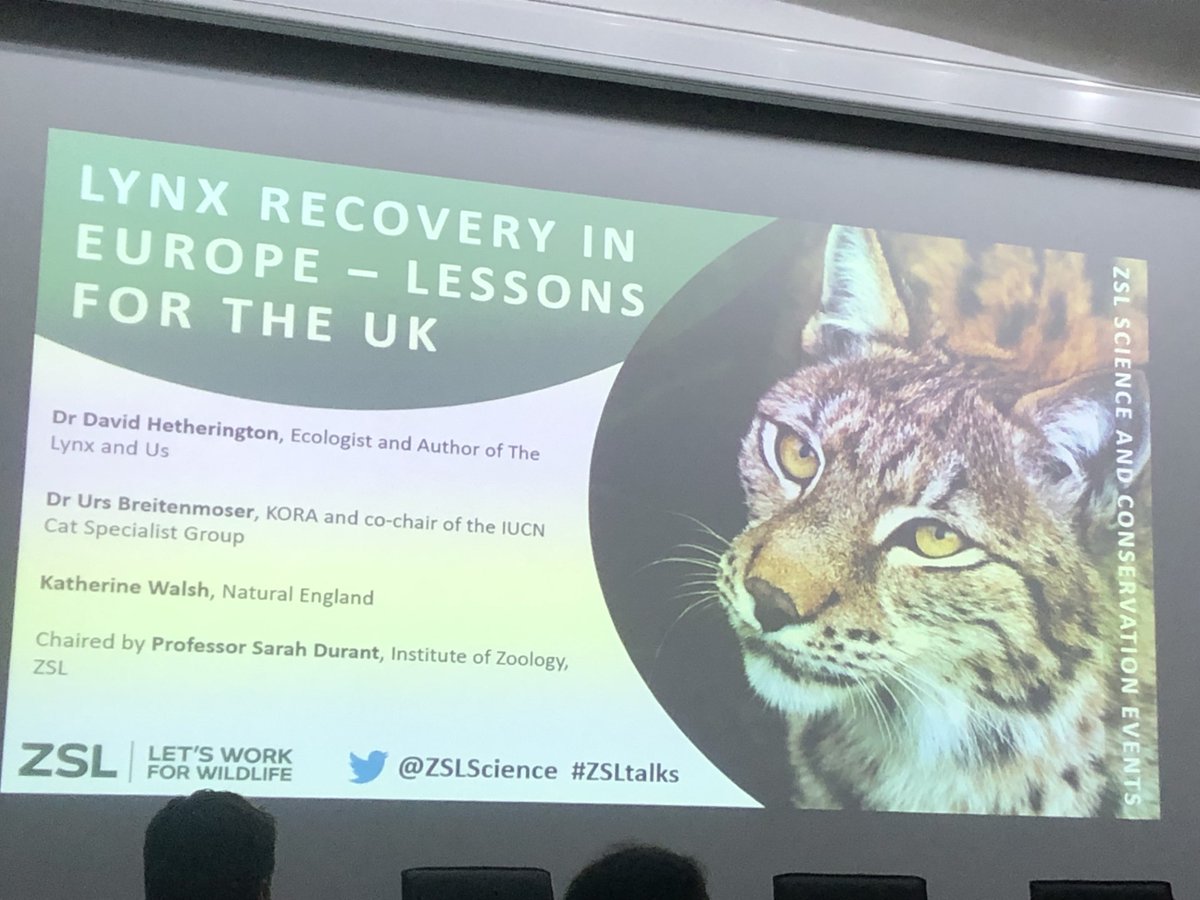 Morwenna_29's tweet photo. Great talk last night hosted by
@ZSLScience on the recovery of the Eurasian lynx &amp; its possible reintroduction to Britain. Incredible line-up of speakers. Covered many topics, including lynx ecology, subpopulation genetics &amp; the legal issues. Even got a signed book! #ZSLtalks https://t.co/l8Ye93ZDI2