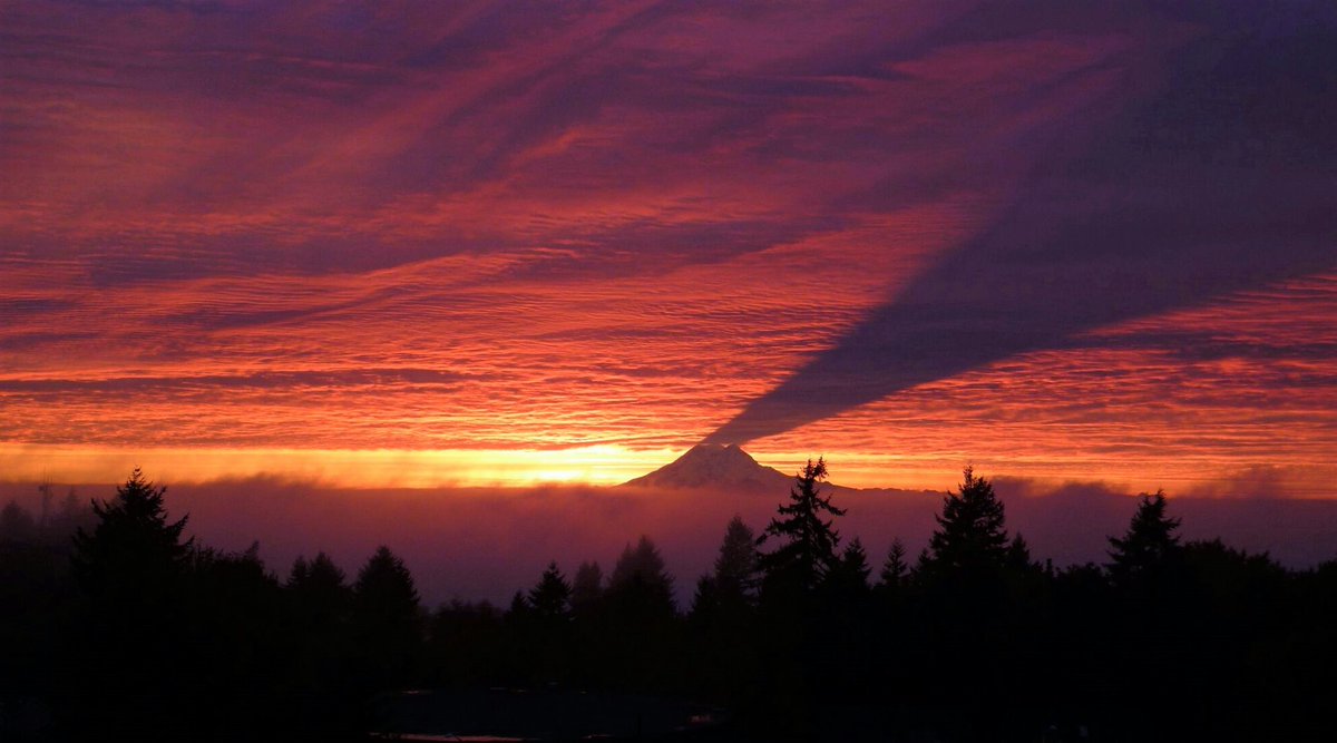 Matahari mulai muncul di balik cakrawala. Puncak Mount Rainier (4.300 meter) adalah yang paling dulu mendapatkan sinar Matahari secara total sehingga membentuk bayangan pada awan.

Beautiful.

📸: rb.gy/v5tdf