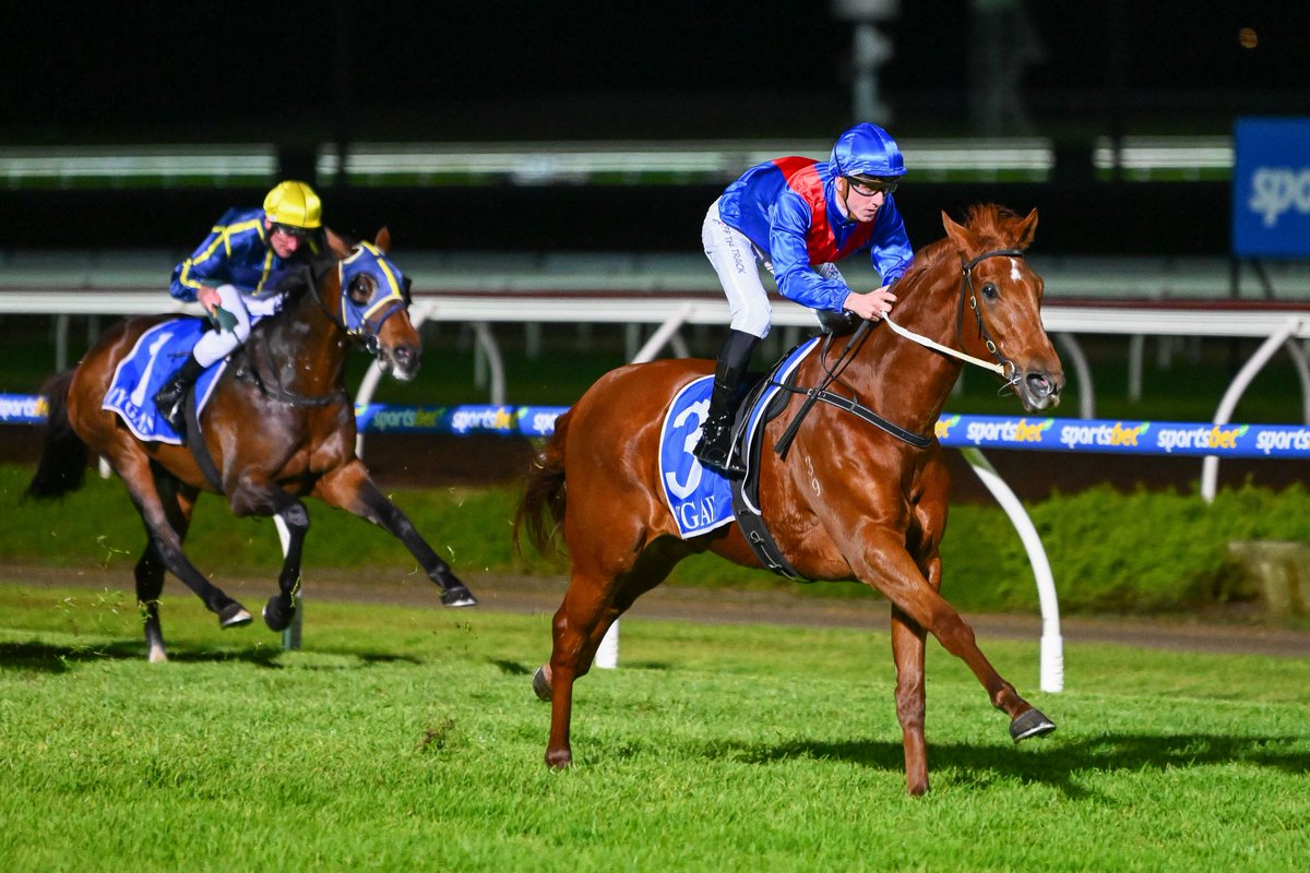 nzracingnews's tweet image. NEWS: @MickPriceRacing have another promising kiwi-bred horse in the stable with #GoldenPath heading to Sandown on Saturday.
racingnews.co.nz/impressive-mai…