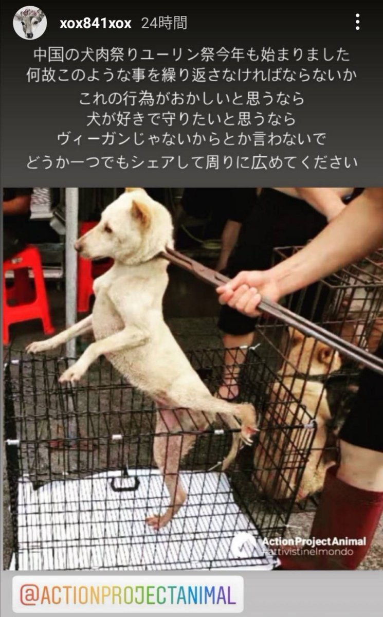 中国の犬肉祭り🇨🇳ユーリン祭がもうすぐ始まります。痛めつけるほど美味しくなると、犬猫が残虐に殺されます。

◎私たちにできること

✅この事実をシェア💬
✅犬肉反対の署名✍️
✅犬肉反対の政治家を支持  @KushidaOf 
✅レスキュー団体に寄付

#BanYulinTorture #犬好きさんと繋がりたい