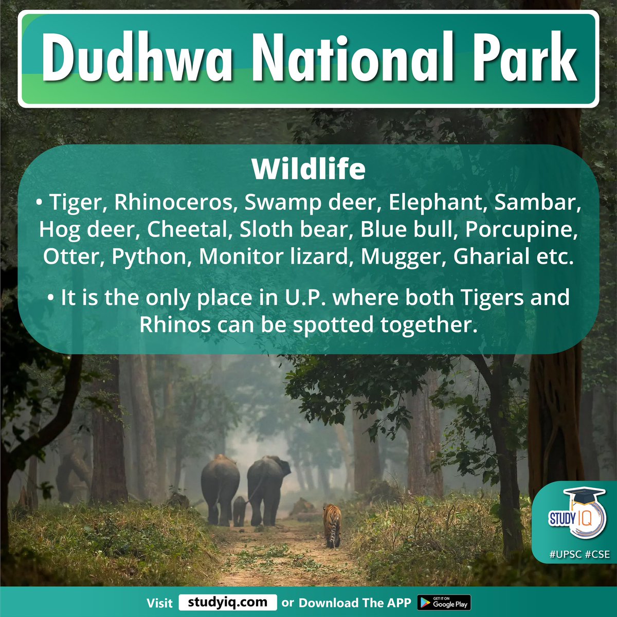 Dudhwa National Park

#dudhwanationalpark #bufferzone #dudhwatigerreserve #lakhimpur #kheri #uttarpradesh #up #nepal #teraibelt #grasslands #denseforests #suheli #moohanastreamflow #shardariver #kishanpurwildlifesanctuary #ghagrariver #katarniaghatwildlifesanctuary #elephant