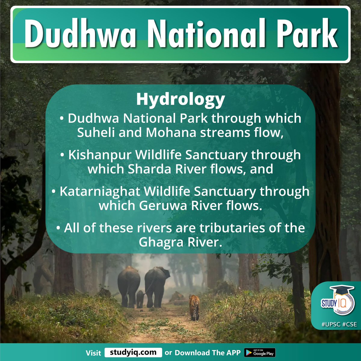 biographyiq's tweet photo. Dudhwa National Park
#dudhwanationalpark #bufferzone #dudhwatigerreserve #lakhimpur #kheri #uttarpradesh #up #nepal #teraibelt #grasslands #denseforests #suheli #moohanastreamflow #shardariver #kishanpurwildlifesanctuary #ghagrariver #katarniaghatwildlifesanctuary #elephant https://t.co/frNugOTqFa