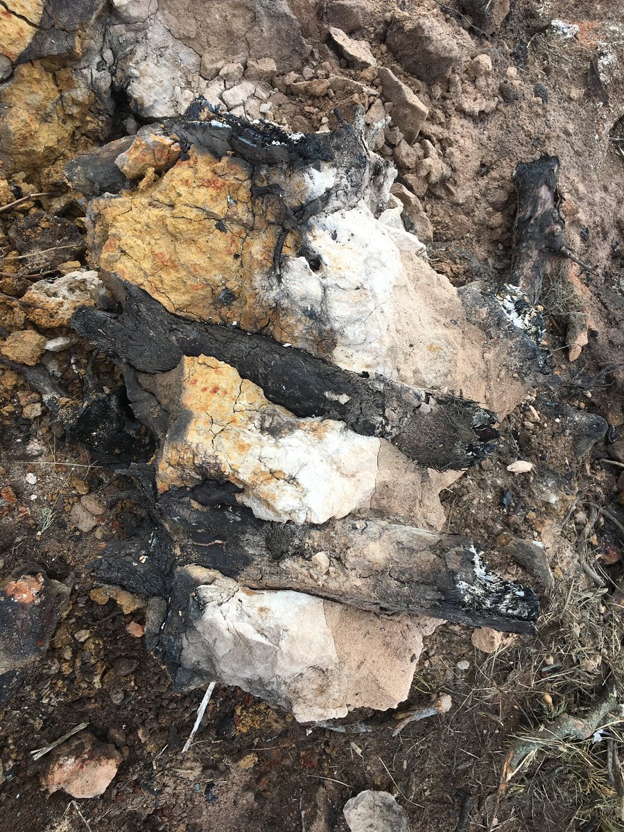 Ed Nixon tweet media