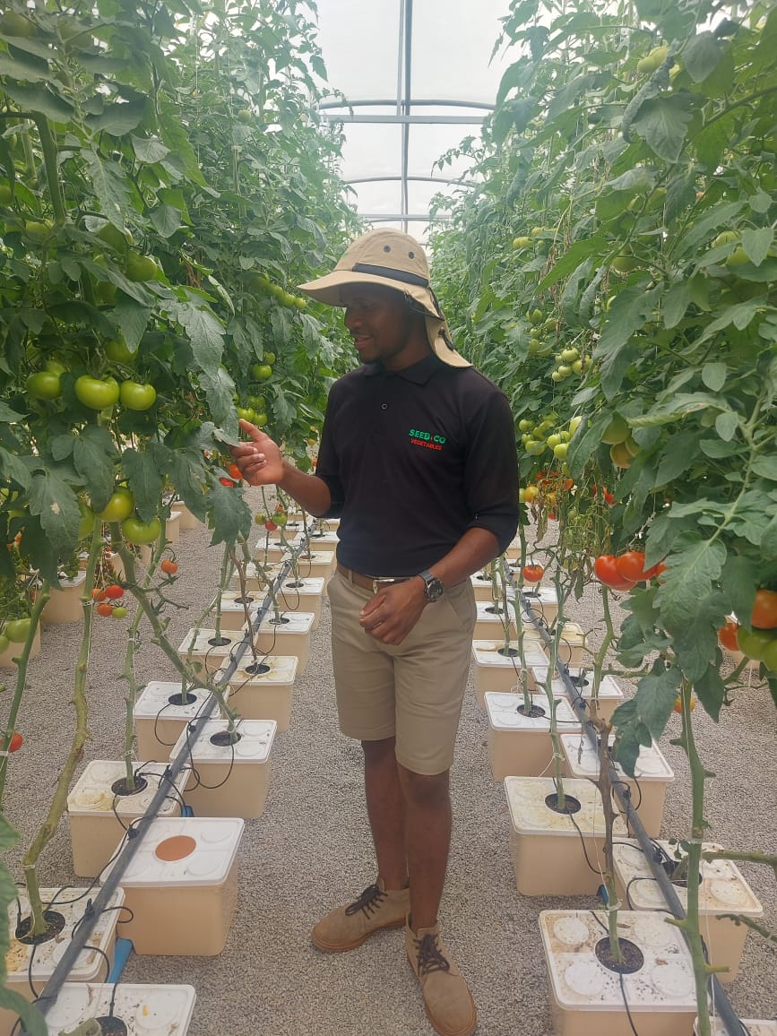 Masimba Kanyepi tweet media