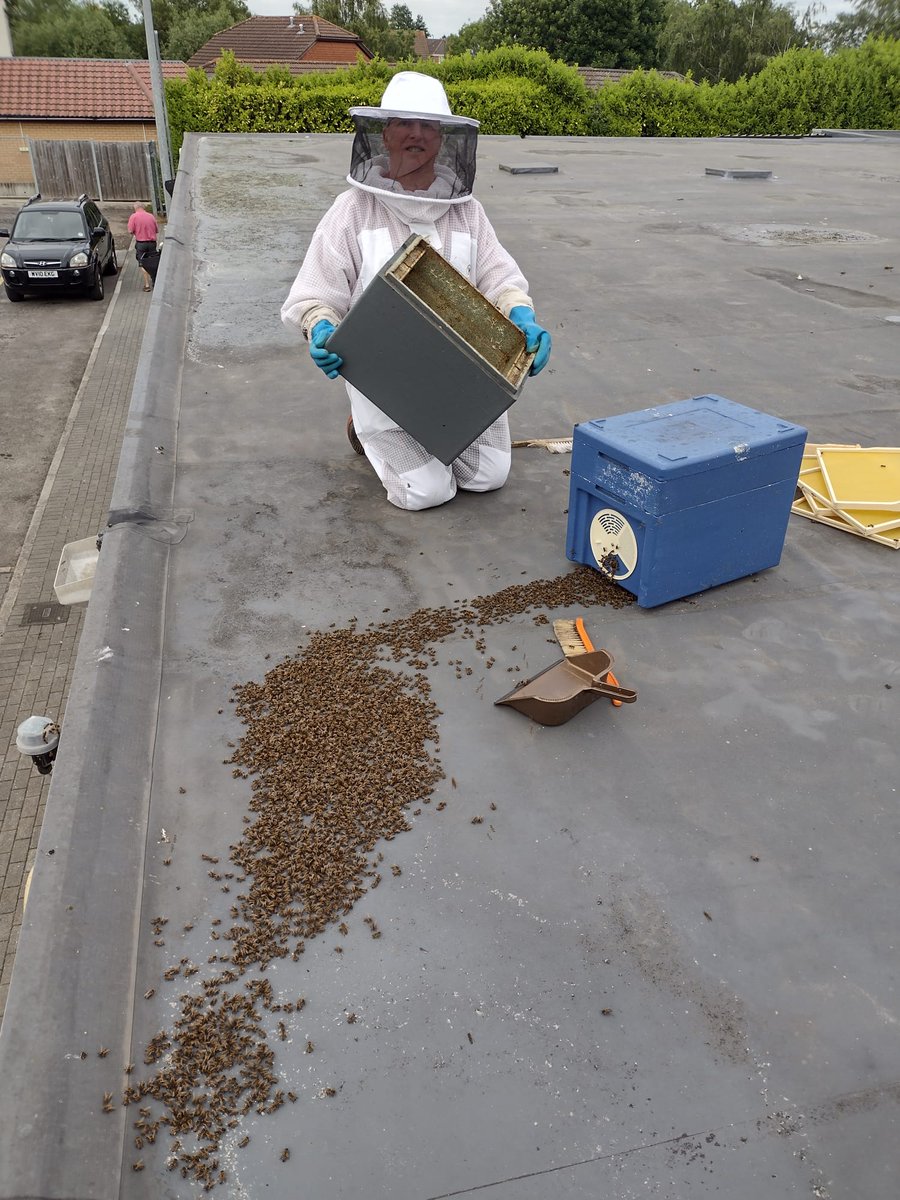 Tim Hewer tweet media