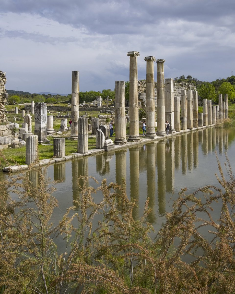 iktm09's tweet photo. #Magnesia, in the middle of #Ephesus, #Priene and #Tralleis, was a city with an important commercial-strategic location on roads connecting these cities.   Did you know that monumental entrance with ionic columns connecting Artemis Sanctuary and Agora is called the #Propylon?
+ https://t.co/dp1nYzwcn1