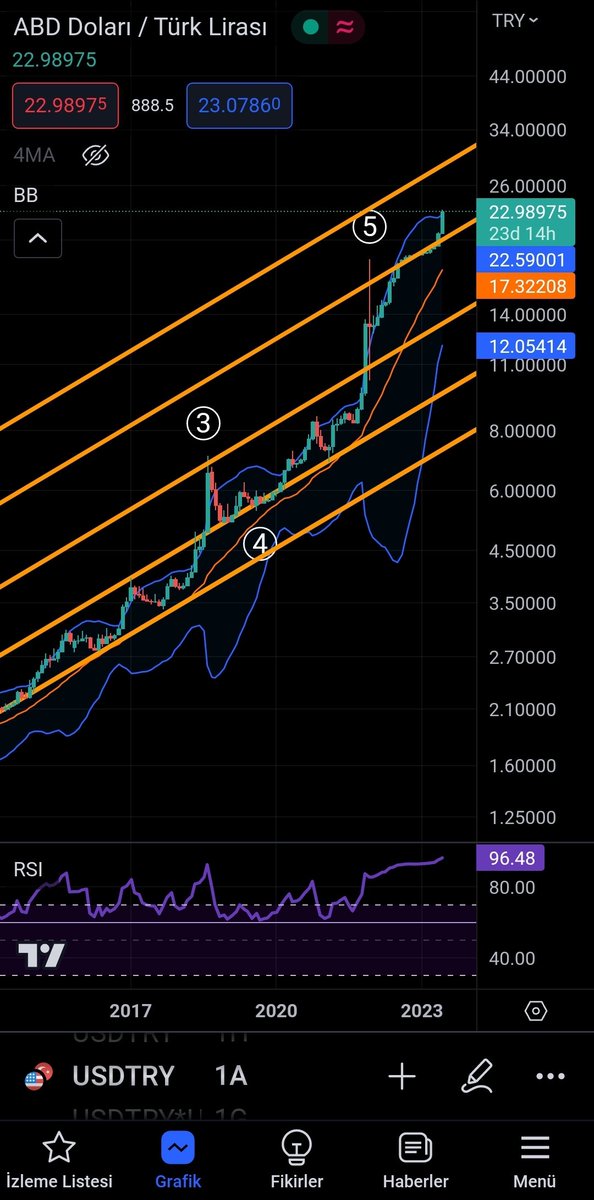 Usdtry dolar türk lirasi 30 lira hedefi var