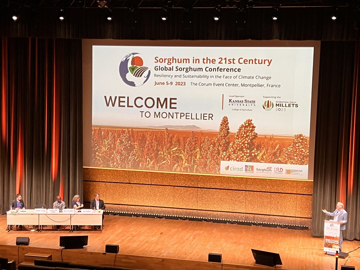 Global Sorghum Conference-Day 3 Panel discussion on Sorghum production for food purposes @21CentSorgh2023 #sorghum2023