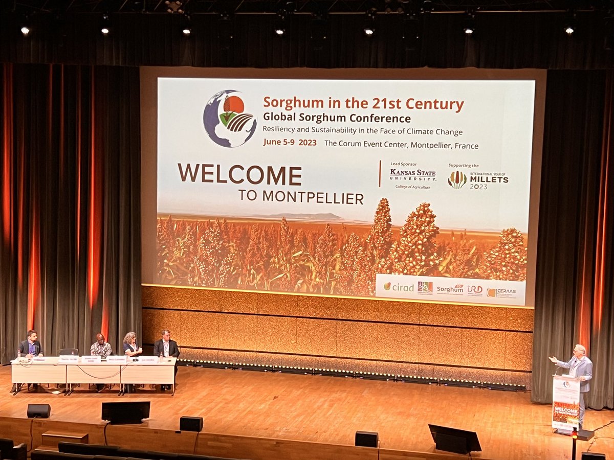 Geetika (@geetika_95) on Twitter photo Global Sorghum Conference-Day 3 Panel discussion on Sorghum production for food purposes <a href="/21CentSorgh2023/">21centurysorghum 2023 Montpellier</a> #sorghum2023 Global Sorghum Conference-Day 3 Panel discussion on Sorghum production for food purposes <a href="/21CentSorgh2023/">21centurysorghum 2023 Montpellier</a> #sorghum2023