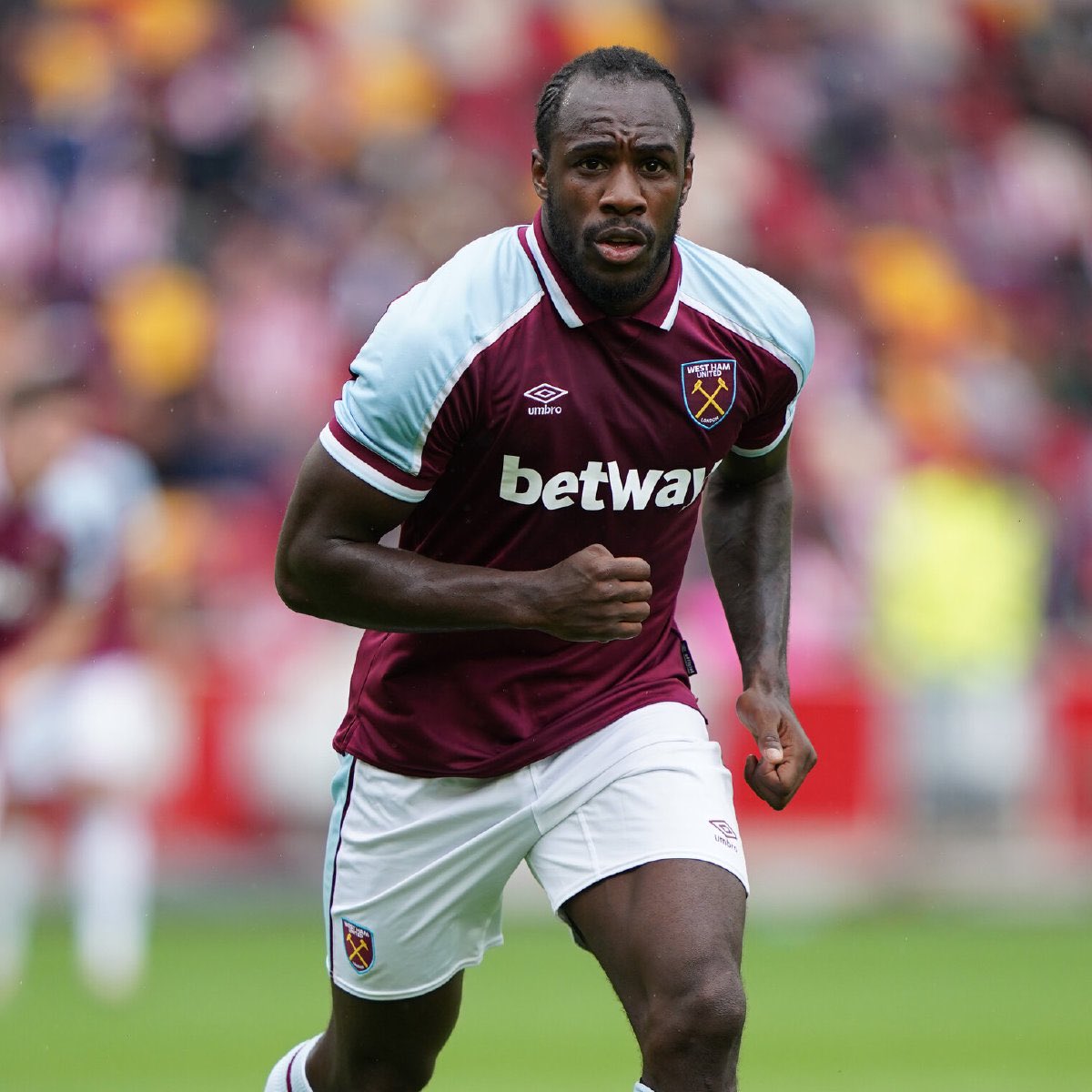 theshirtinabox's tweet photo. CONFERENCE LEAGUE FINAL HYPE! Giveaway time 😍😍

If PAQUETA or ANTONIO score ANYTIME tonight for West Ham then we will giveaway one of mystery boxes to one lucky person! 

That’s surely a winner…

How to enter 👇

🐥 retweet this tweet 
👋 follow us 

Best of luck! 🤞 https://t.co/pGZF4MPBPQ