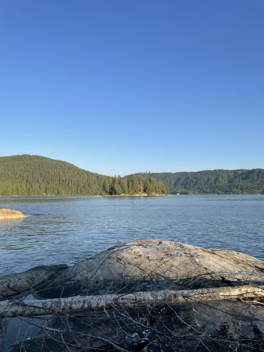 تفریح جدید اینه که میریم یه جزیره پیدا می‌کنیم توش شام میخوریم برمیگردیم 😅